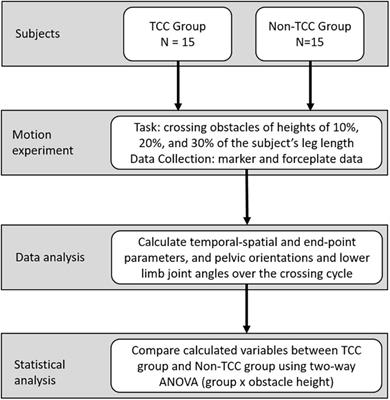 Synergistic multi-joint kinematic strategies to reduce tripping risks during obstacle-crossing in older long-term Tai-Chi Chuan practitioners